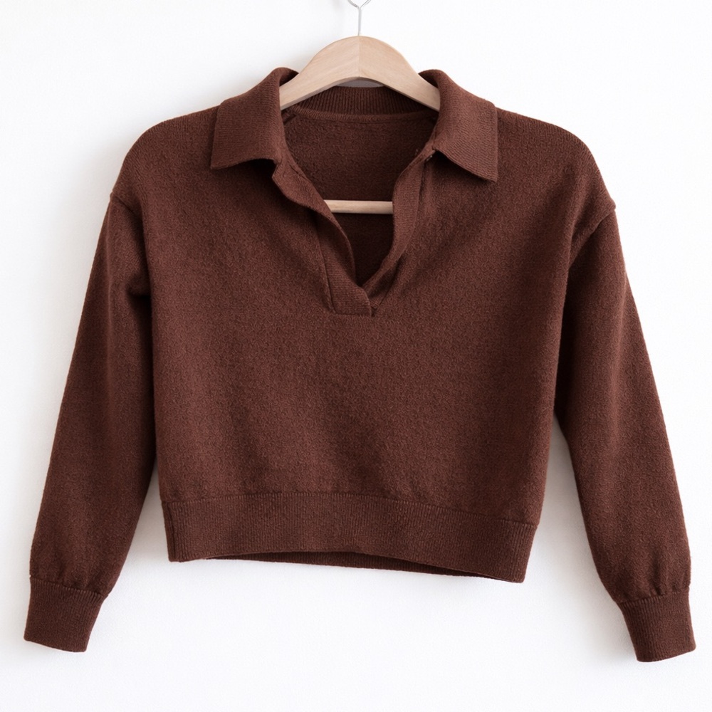 Aritzia Wilfred Cropped Polo Sweater Brown Collared Knit Clara Style Sz S
